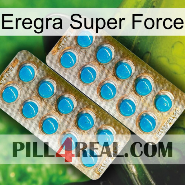 Eregra Super Force new08.jpg